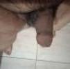 foto do perfil machoso